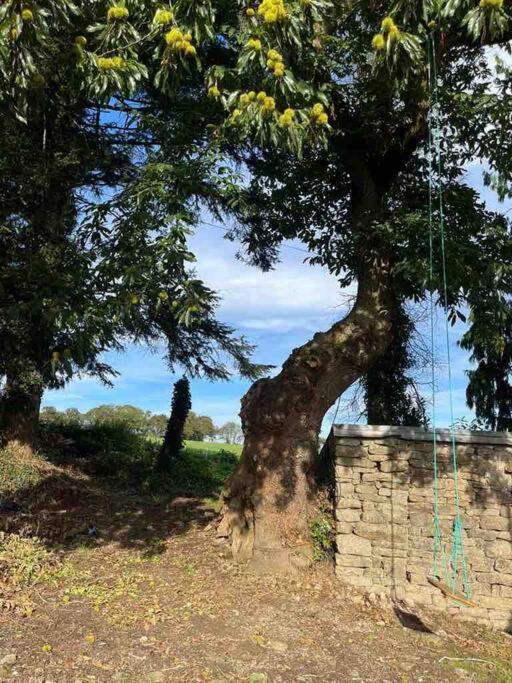 Gite Du Dolmen Guiscriff Ngoại thất bức ảnh
